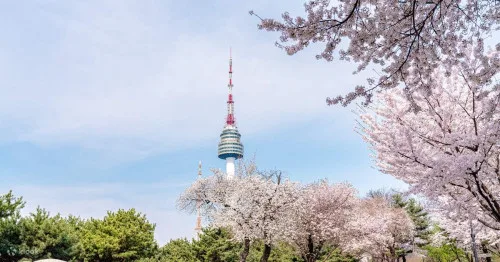 N서울타워(용산) 케이블카 티켓 전용