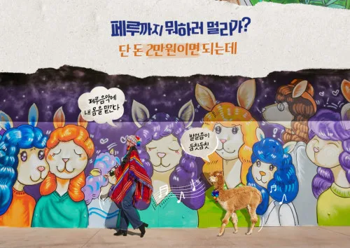 알파카월드(홍천)