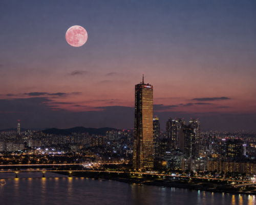 63 스카이피크닉