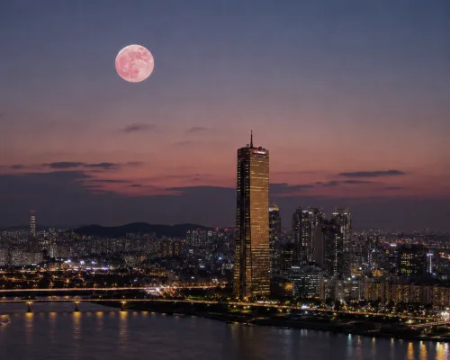 63 스카이피크닉