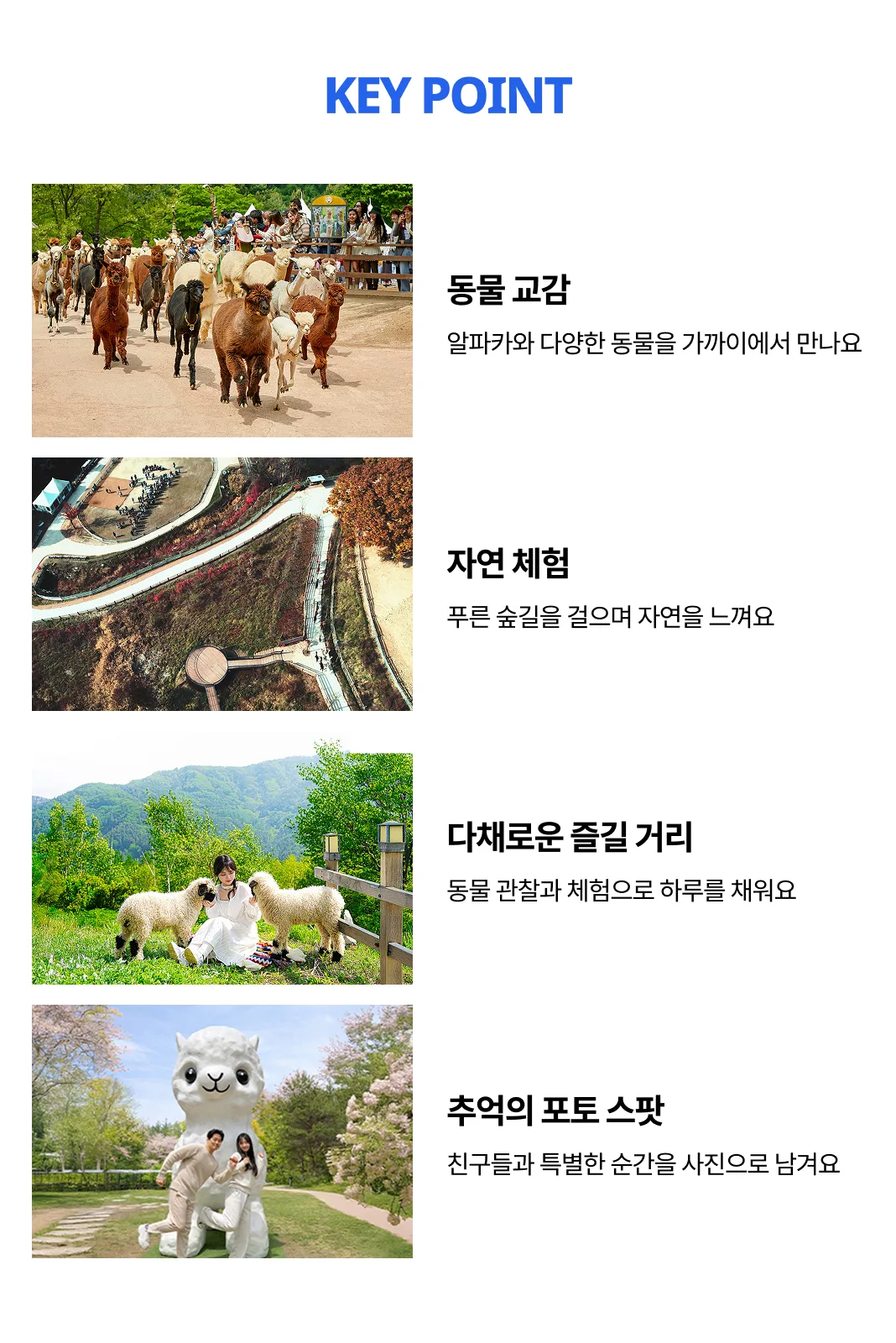 교실 밖에서 만나는 동물은 학생들에게 새로운 호기심을 열어줍니다. 알파카월드에서 알파카와 다양한 동물을 가까이에서 살펴보고, 숲길을 걸으며 친구들과 함께하는 시간을 만들어보세요.